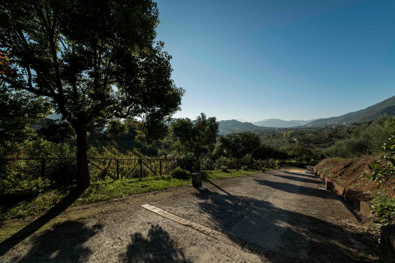 Tenuta D'Amore San Mango Piemonte Exterior foto